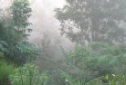Mount Fosterlandscaping-irrigation-4.jpg; ?>